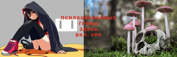 альфа пвп Армянск
