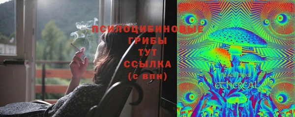 молекула духа Аркадак